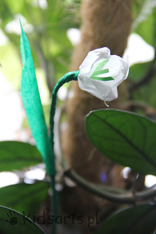 przebisnieg z bibuly papieru